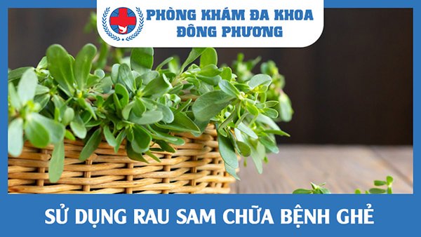 Sử dụng rau sam chữa ghẻ, ngứa