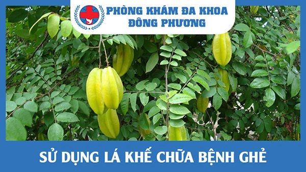 Chữa bệnh ngoài da bằng lá khế