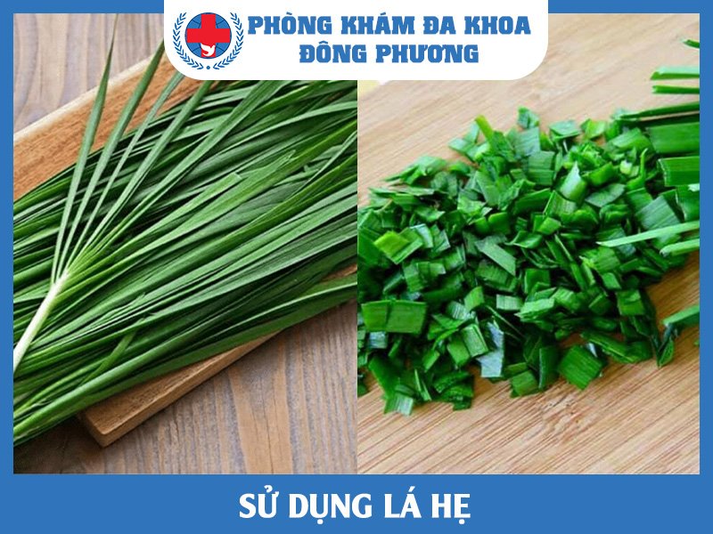 Sử dụng lá hẹ để chưa mề đay