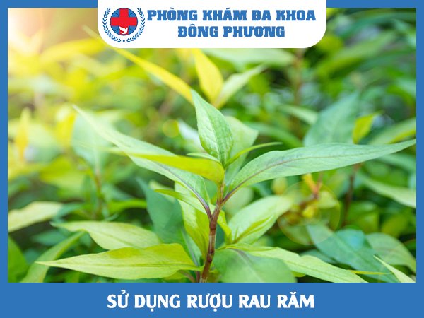 sử dụng rượu rau răm chữa bệnh nấm da tay